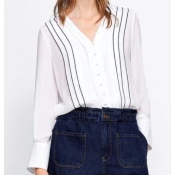 Zara • Long Sleeve Sheer Striped V-Neck Blouse - Picture 1 of 11